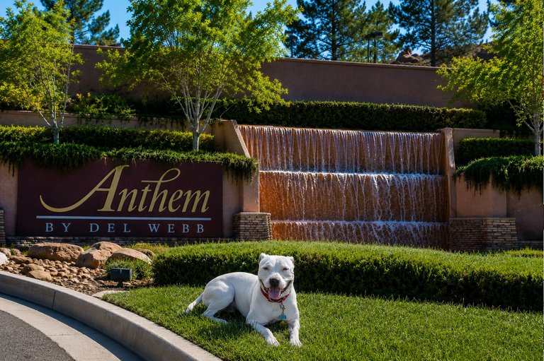 Pest control service area for Anthem
