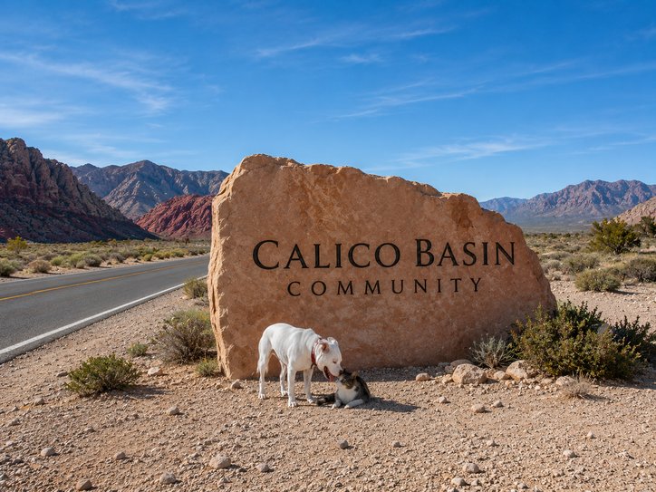 Pest control service area for Calico Basin